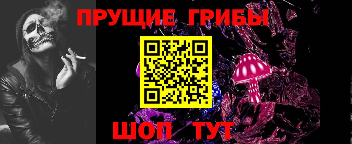 Таганрог  Галлюциногенные грибы Psilocybine cubensis  Вход с VPN  Псилоцибиновые грибы GOLDEN TEACHER 